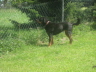 Schon_das_dritte_Mal__Susi_aus_Falkenstein1